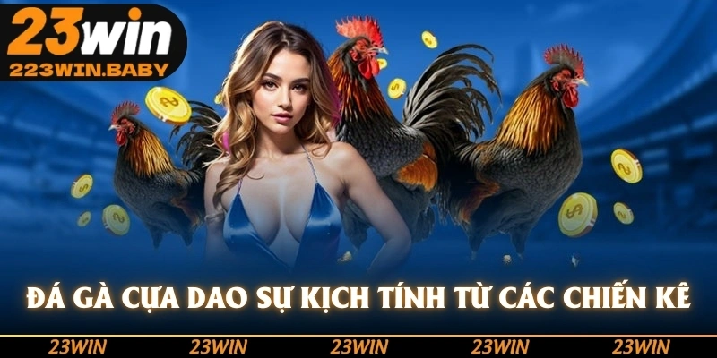 đá gà cựa dạo sự kịch tính từ các chiến kê