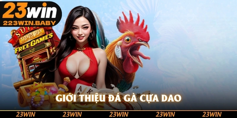 giới thiệu đá gà cựa dao