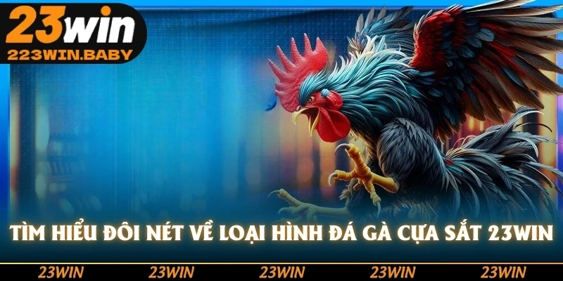 tìm hiểu đôi nét về loại hình đá gà cựa sắt 23win
